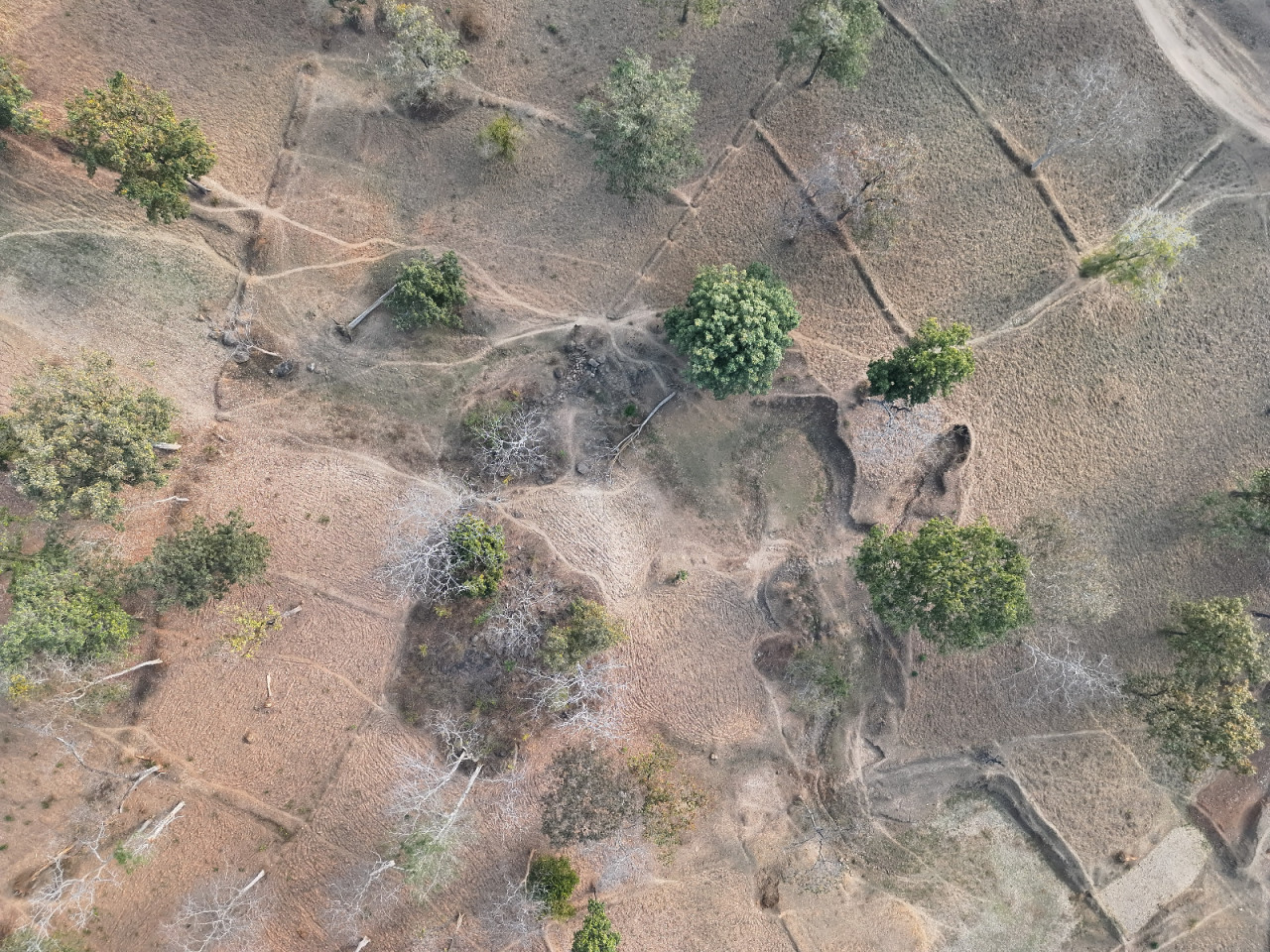 Udanti Sitanadi Tiger Reserve CG