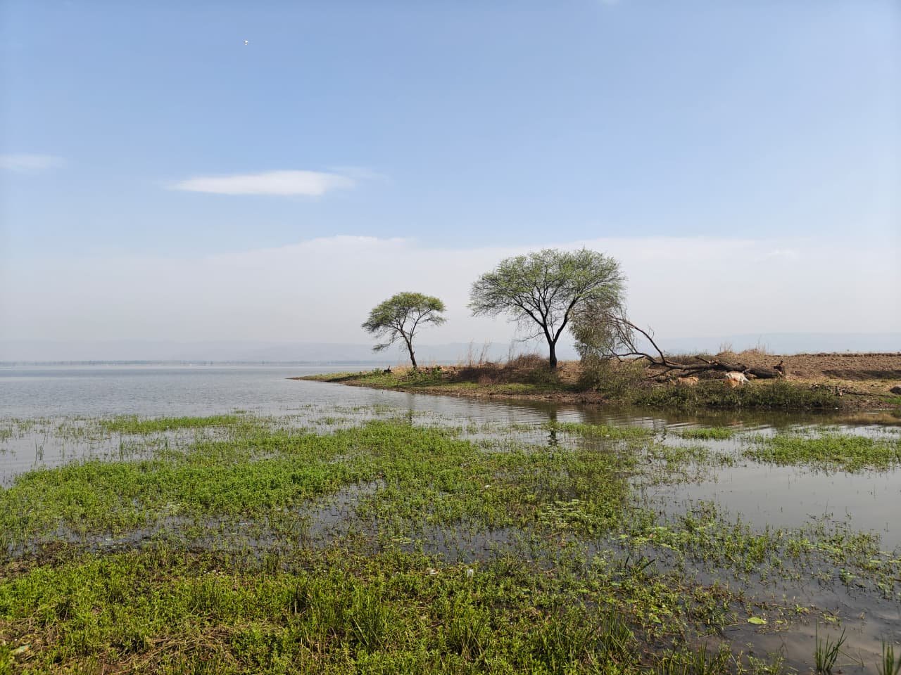Kopra Reservoir Ramsar Site CG