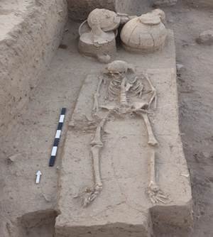 Rakhigarhi 5000 year old Harappan skeletons DNA test ASI AnSI Indus Saraswati Civilization excavation Haryana 2026