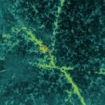 Bastar Forest Division Thermal Drone 2026
