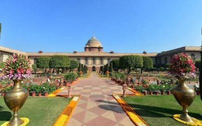 Bastar Pandum 2026 Rashtrapati Bhavan (2)