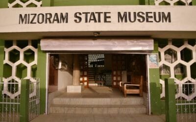 Mizoram University Natural History Museum designated as India's 21st Designated Repository