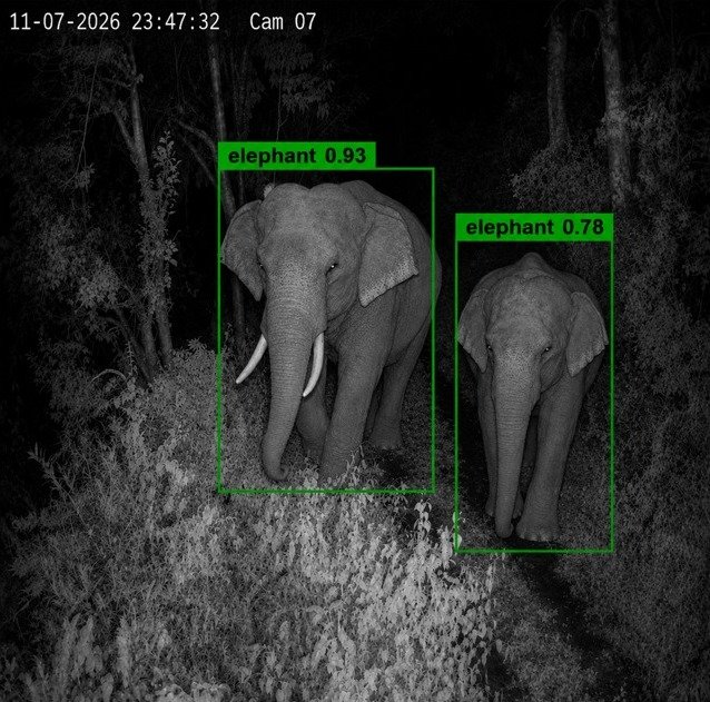 Udanti Sitanadi Tiger Reserve AI Surveillance Tower