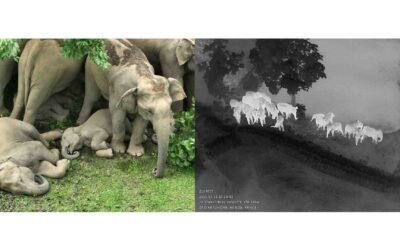 Udanti Sitanadi Tiger Reserve CG 2026