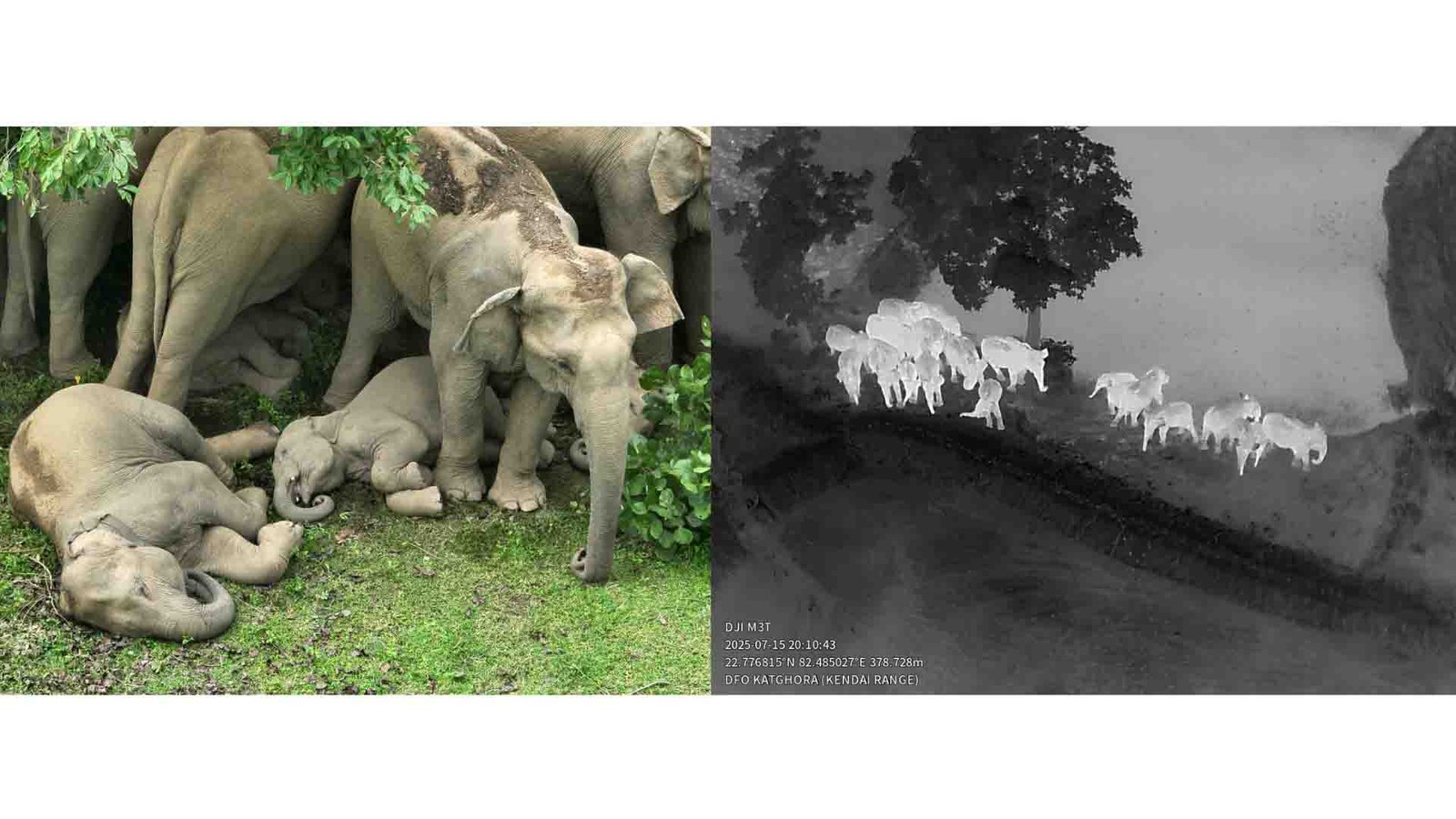 Udanti Sitanadi Tiger Reserve CG 2026