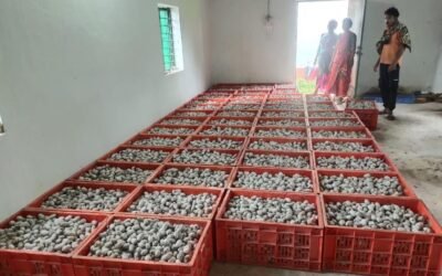 नारायणपुर टसर रेशम योजना