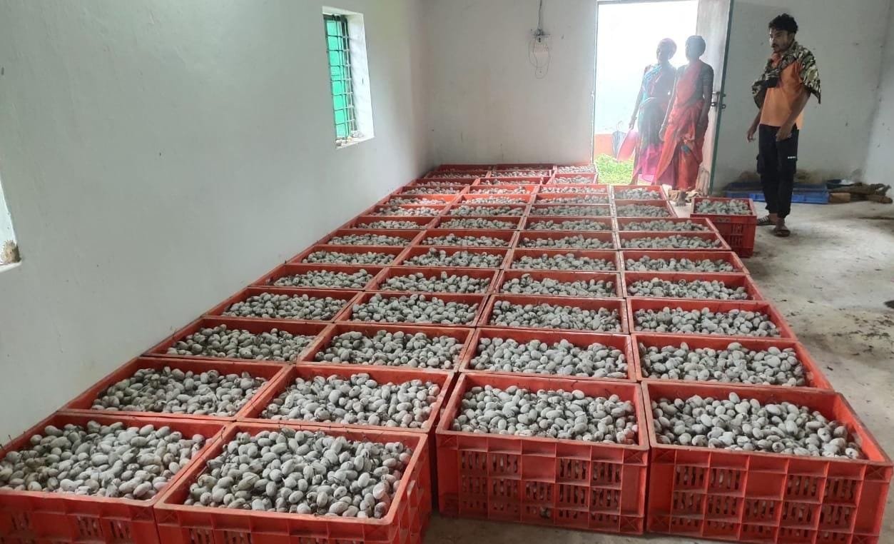 नारायणपुर टसर रेशम योजना