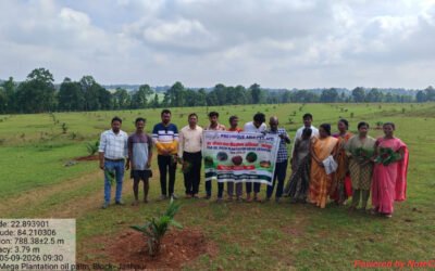 Oil Palm Farming CG