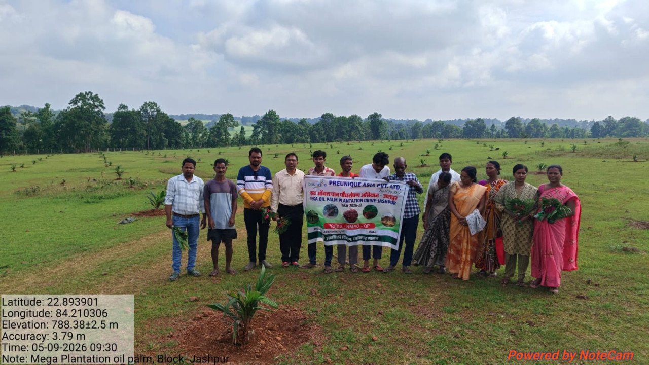 Oil Palm Farming CG