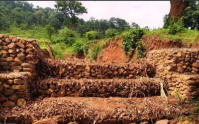 Bastar Gabion Structure